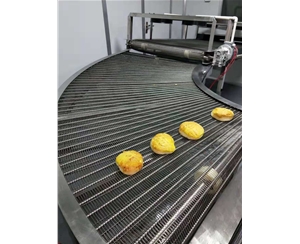 福建食品网带转弯机