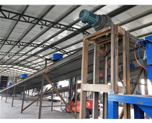 福建重型网带提升机