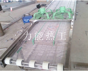 福建乙字网输送机
