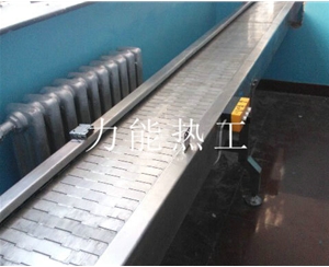 福建链板输送机