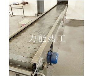 福建链板输送机